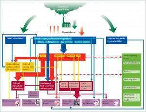 Green houses emissions are raising temperatures and changing rainfall patterns, leading to a loss of biodiversity and ultimately an anticipated increase in parasite-born diseases as this graphic provided by The Lancet shows.
